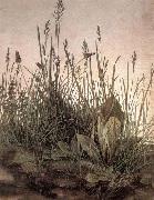 Albrecht Durer The Large Turf painting